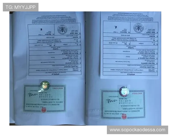 凯发登陆网会员注册需要准备的资料和注意事项