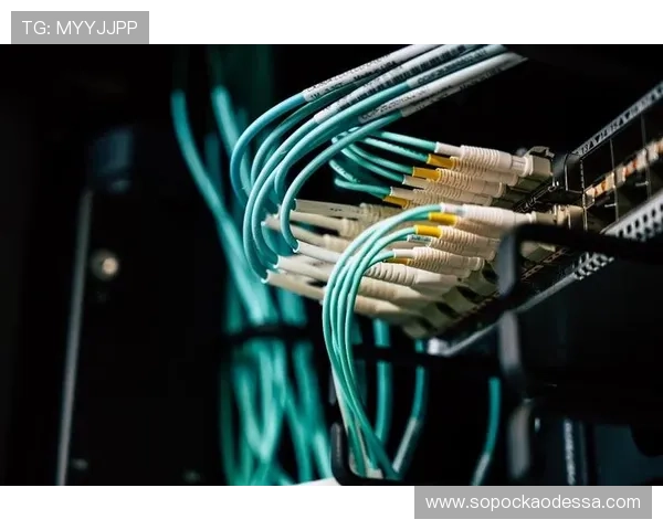 k8凯发中国官网多平台兼容性分析，支持PC端与移动端畅玩无障碍的最佳体验方案