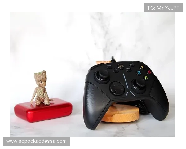 探索K8凯发官网真人游戏中的热门项目与玩家评价分析